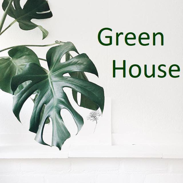 Green House Krakow Dış mekan fotoğraf